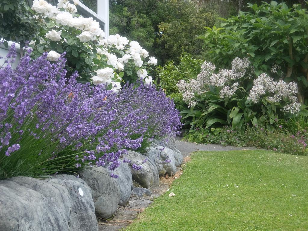 The Point B&B Kaikoura Exteriér fotografie