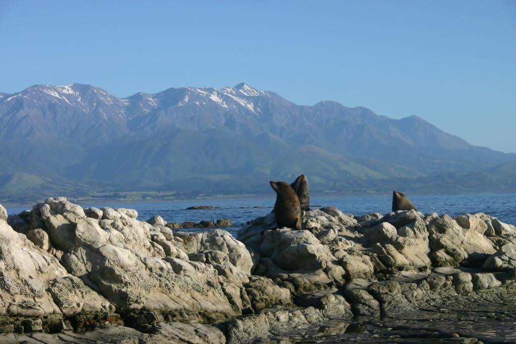 The Point B&B Kaikoura Exteriér fotografie